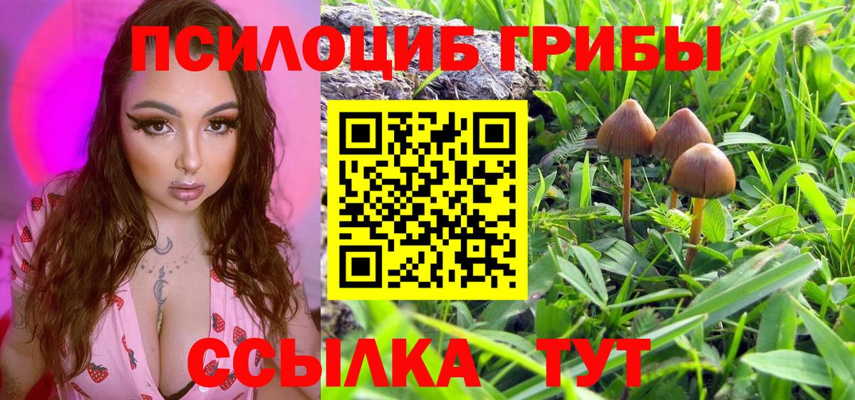 Большой Камень  Галлюциногенные грибы Magic Shrooms  Вход с VPN 