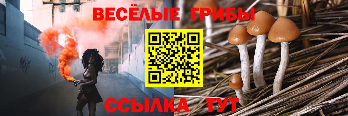 Псилоцибиновые грибы мухоморы Большой Камень